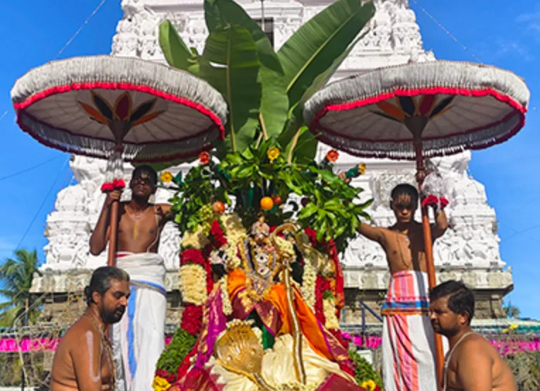 Sri Venugopala Swamy Blesses Devotees as Kaliyamardana on Kalpavriksha Vahanam
