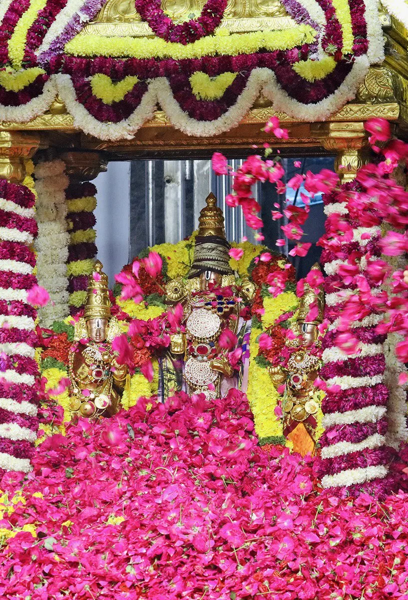Sri Soumyanatha Swamy Pushpayagam Performed with One Tonne of Flowers at Nandalur