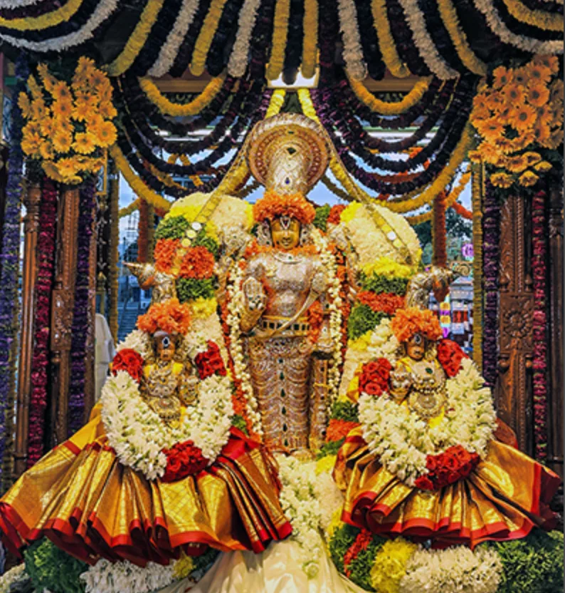 Sri Sundararaja Swamy Graces Devotees During Tiruchanoor Teppotsavam