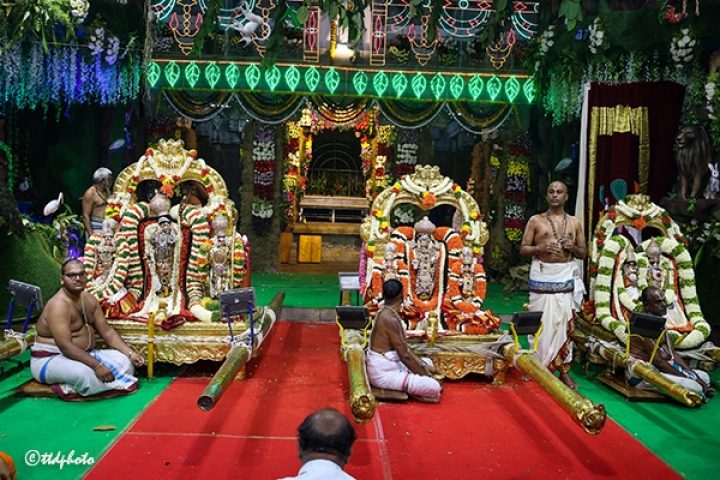 VASANTHOTSAVAM-OF-PROCESSION-5-720x480-1.jpg