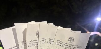 11th April SSD Tokens Quota – 13,000 SSD & 2,000 DD Tokens for 12th April Darshan 11TH aPRIL ssd tokens tirupati