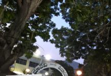 7th April SSD Tokens Quota – 10,000 SSD & 2,000 DD Tokens for 8th April Darshan; Quotas Closed Early DDTOKEN 6 APRIL