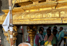Sandal Powder Festival of Sri Bhashyakara Held Grandly at Sri Govindaraja Swamy Temple