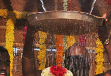 Sri Padmavathi Ammavari Vasanthotsavams to Shine Amid Spring Fragrance Sri Padmavathi Ammavari Vasanthotsavams