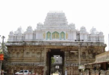 Sri Vedanarayana Swamy Temple