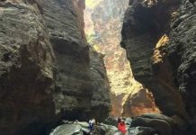 Grand Tumbura Theertha Mukkoti: Over 12,000 Devotees Take Sacred Dip in Tirumala’s Forest Theertha