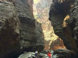 Grand Tumbura Theertha Mukkoti: Over 12,000 Devotees Take Sacred Dip in Tirumala’s Forest Theertha