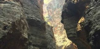 Grand Tumbura Theertha Mukkoti: Over 12,000 Devotees Take Sacred Dip in Tirumala’s Forest Theertha