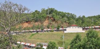 TIRUMALA DARSHAN STATISTICS – 20 MAY 2026: 86,315 PILGRIMS, 44,107 TONSURES, ₹3.94 CRORE HUNDI