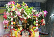 SRI VEDANARAYANA SWAMY ON KALPAVRUKSHA VAHANAM