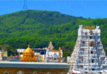 Tirumala Darshan Statistics 07 May 2026 – 70,001 Pilgrims, 30,085 Tonsures, ₹3.77 Crore Hundi TirumalaBG
